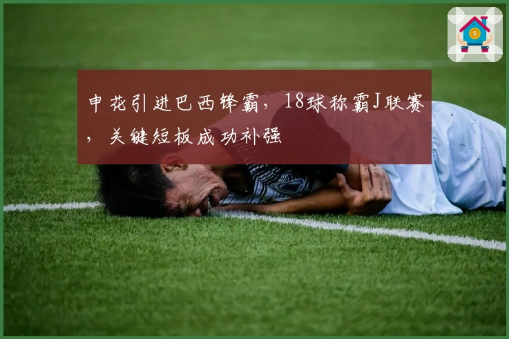 申花引进巴西锋霸，18球称霸J联赛，关键短板成功补强