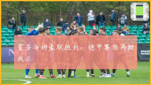 霍芬海姆豪取胜利，德甲赛场再掀风云