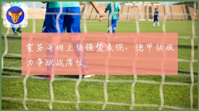 霍芬海姆主场强势表现，德甲劲旅力争欧战席位